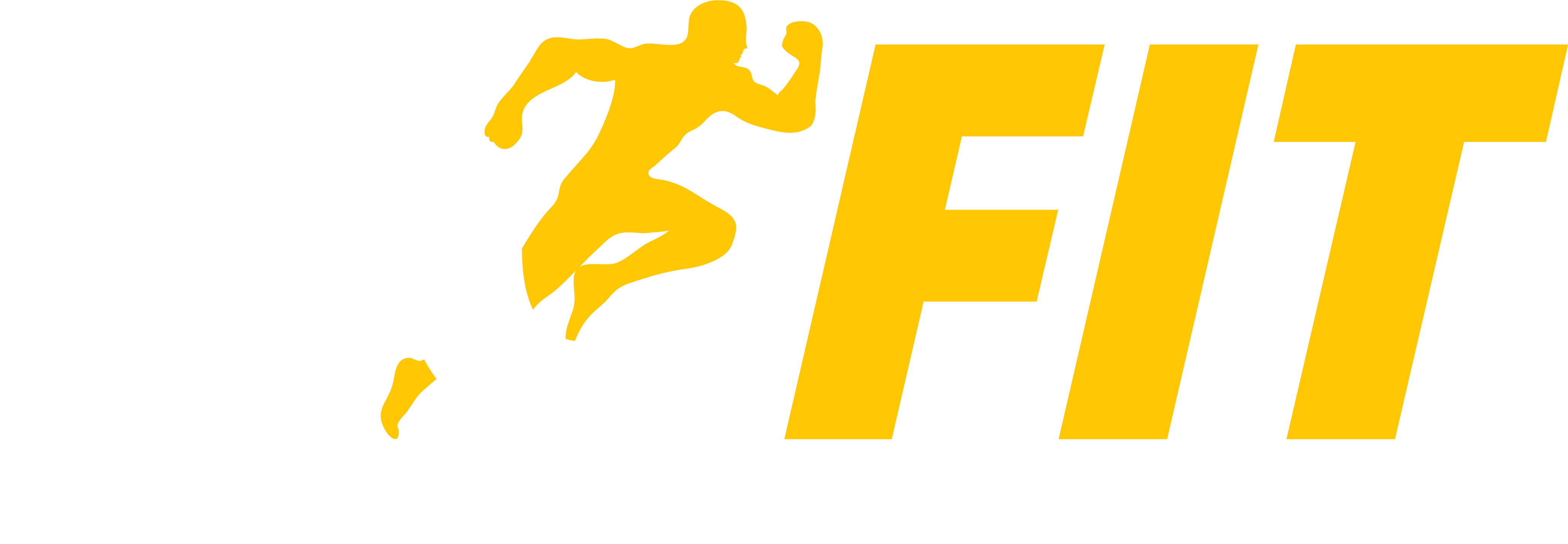 Go Fit Logo